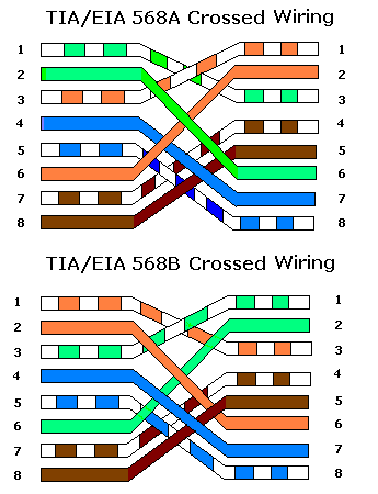 Ethernet Cable Standards Assignments | Wiring Circuit Diagram