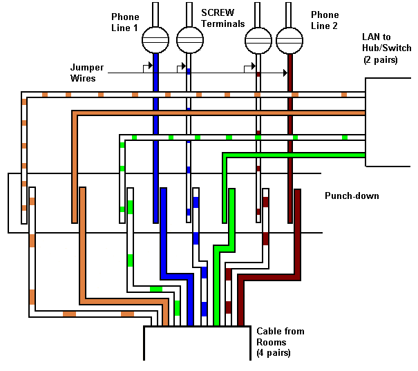 Colour Coding Of Patch Cord