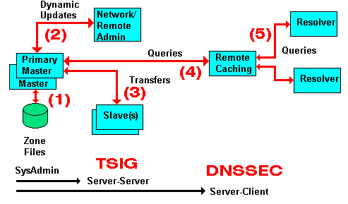 DNS Data flow