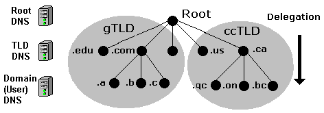 Root and Domain structure