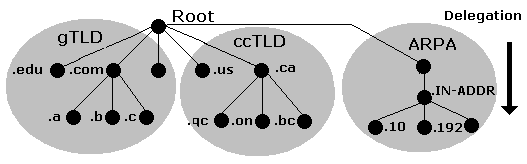 Domain mapping. Addr Arpa.